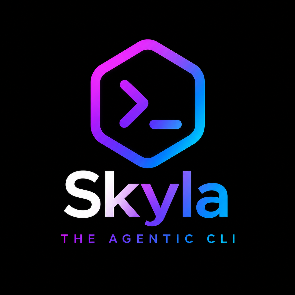 Skyla CLI